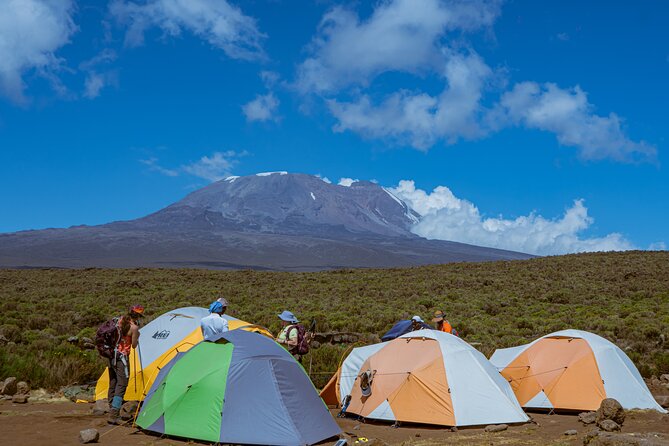 6 Days Climb Private Tour in Mount Kilimanjaro - Pickup and Transportation