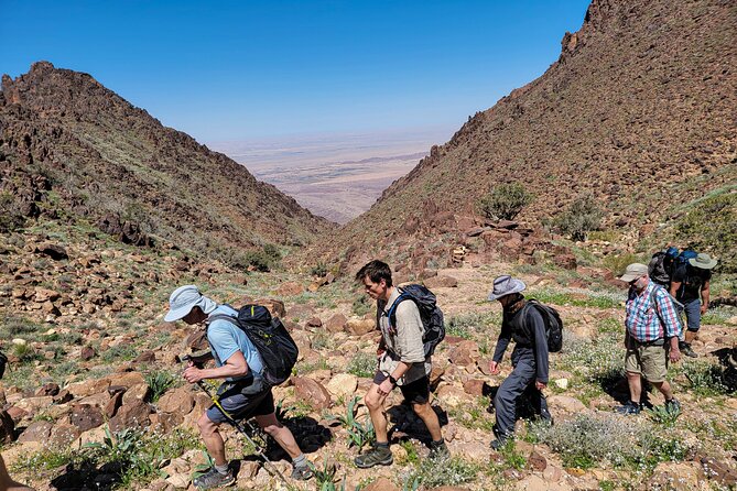 6 Days Guided Trek From Dana to Petra (Group) - Costs and Fees