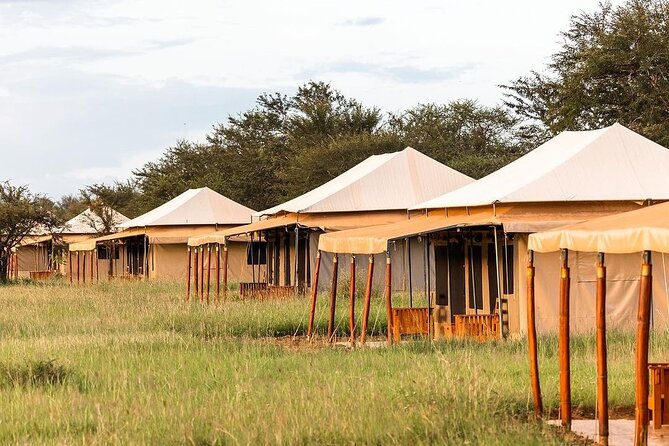 6-DayThe Best of Northern Tanzania Safari - Accommodation and Meals