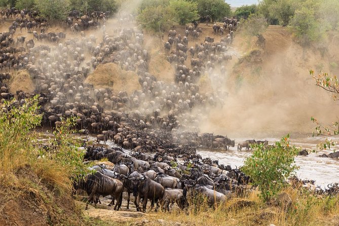 8 Days Great Wildebeest Migration - Mara River Crossing - Day 2: Serengeti National Park