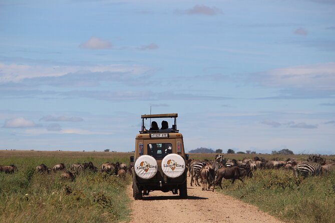 9-Day Serengeti Migration Footsteps Tanzania Safari - Accessibility