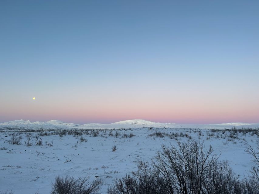 Abisko: Guided Sunrise Morning Hike With Hot Chocolate - Panoramic Lake Views