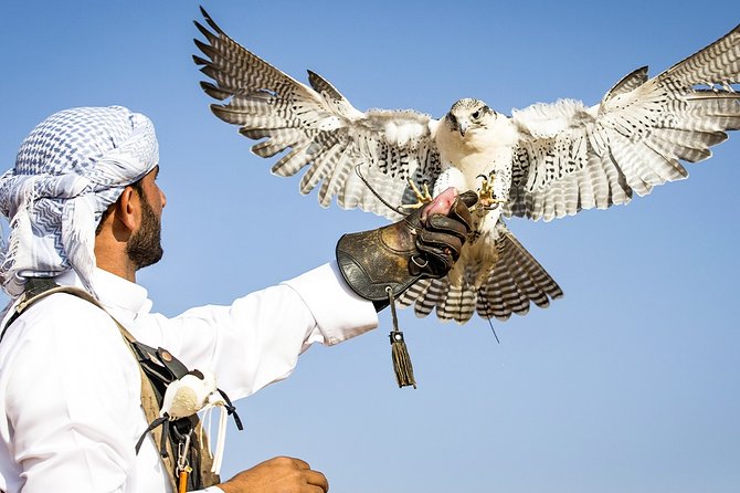 Abu Dhabi: 7-Hours Desert Safari With Bbq, Camel Ride & Sandboarding - Restrictions and Accessibility