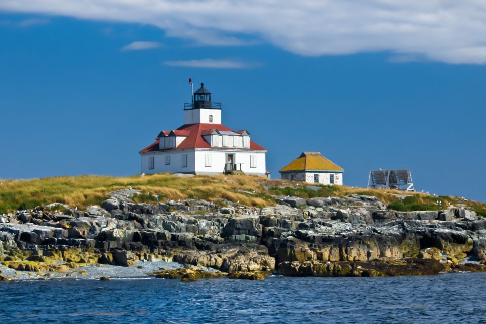 Acadia NP & Bar Harbor Self-Guided Driving and Walking Tour - Tour Highlights