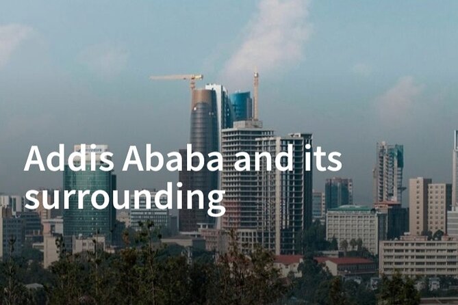 Addis Ababa City Tours Full Day With Hotel Pickup And Drop Off - Accessibility and Accommodations