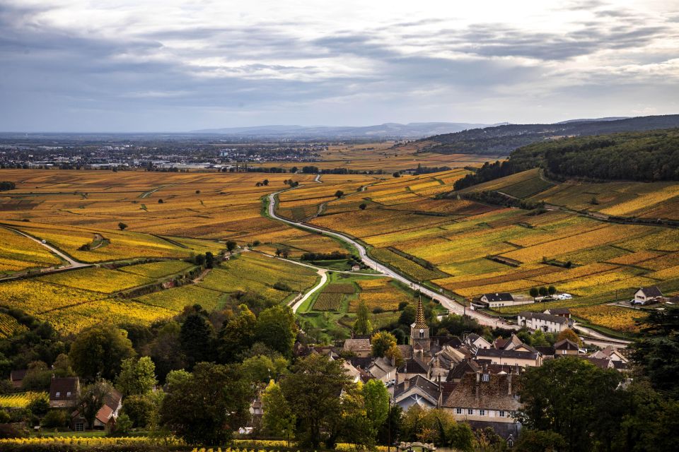 Afternoon in the Côte De Nuits (Small Group) - Duration and Inclusions