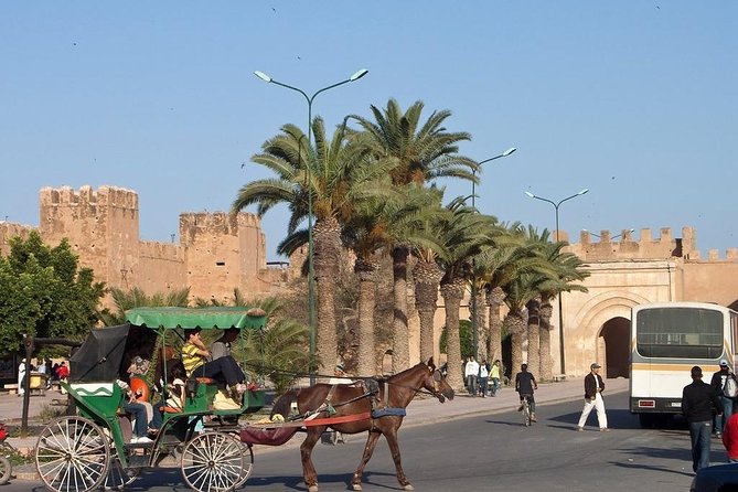 Agadir Morocco: Day Trip to Taroudant & Tiout Oasis With Lunch - Tour Inclusions and Amenities