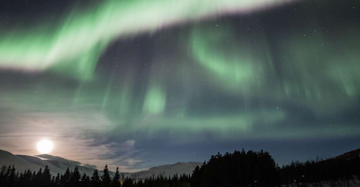 Akureyri: Northern Lights Tour in North Iceland - Booking and Pricing