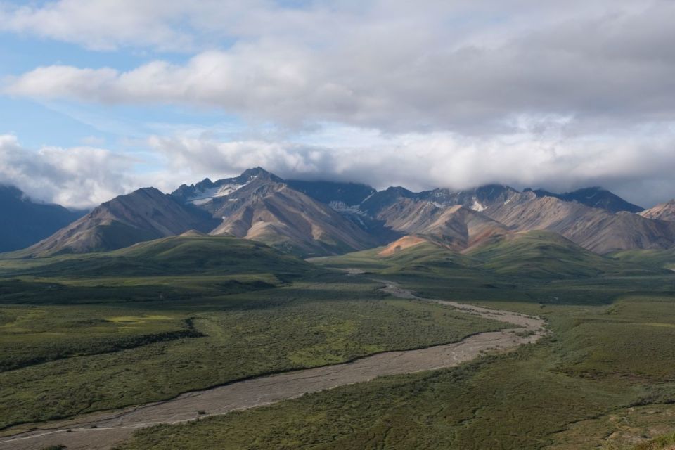 Alaska 9 Day Ocean Wildlife to Interior Wilderness Adventure - Wildlife Viewing Opportunities