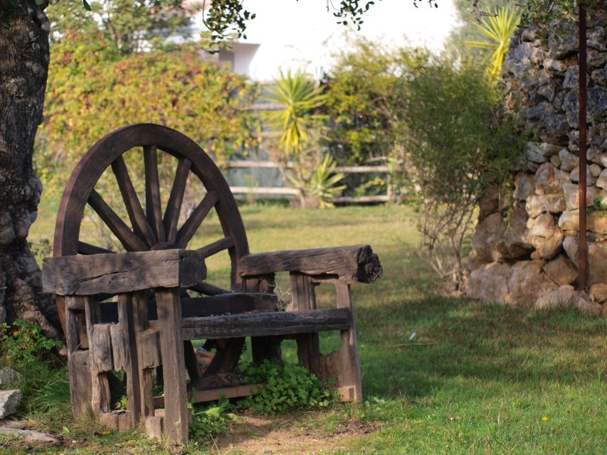 Algarve: Flavors and Traditions Tour - Discover Cork Production