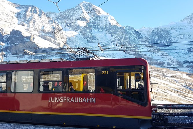 Alpine Majesty: From Interlaken to Jungfraujoch Private Tour - Accessibility and Requirements