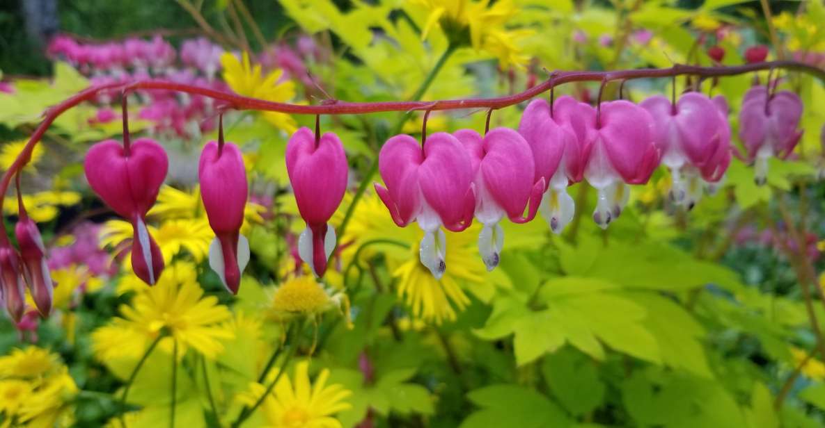 Anchorage: Botanical Garden Walking Tour - Meeting Point and Accessibility