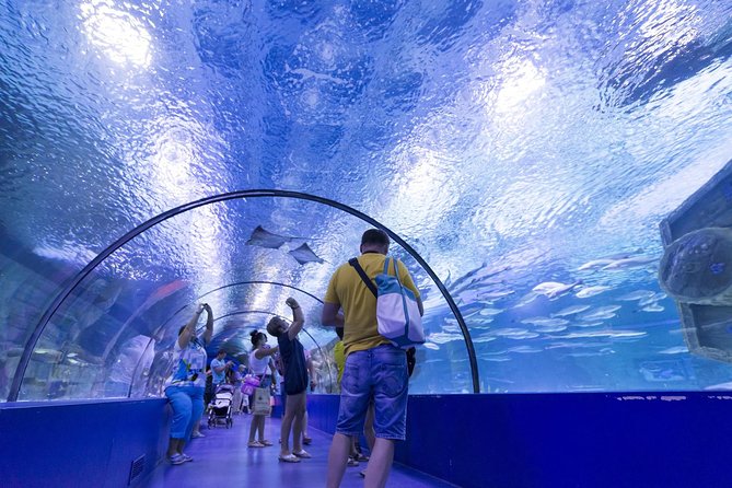 Aquarium & Face2face Wax Museum From Antalya - Accessibility and Transportation