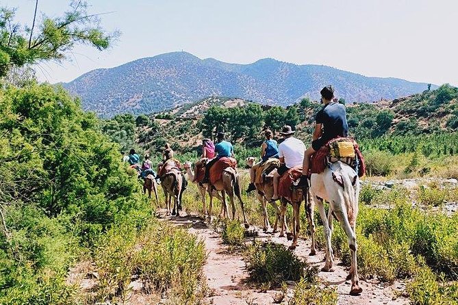 Atlas Mountains Day Trip - Experiencing Traditional Lifestyles