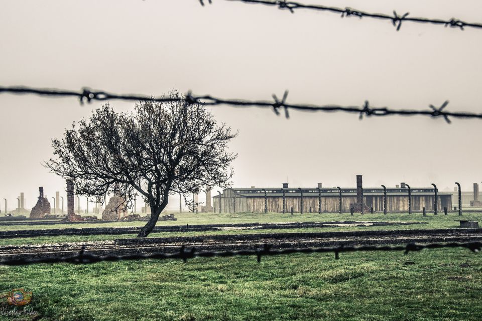 Auschwitz-Birkenau: Skip-the-Line Entry Ticket & Guided Tour - Inclusions