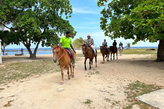 Bamboo Rafting & Horseback Ride N Swim Guided Tour in Montego Bay - Confirmation and Cancellation