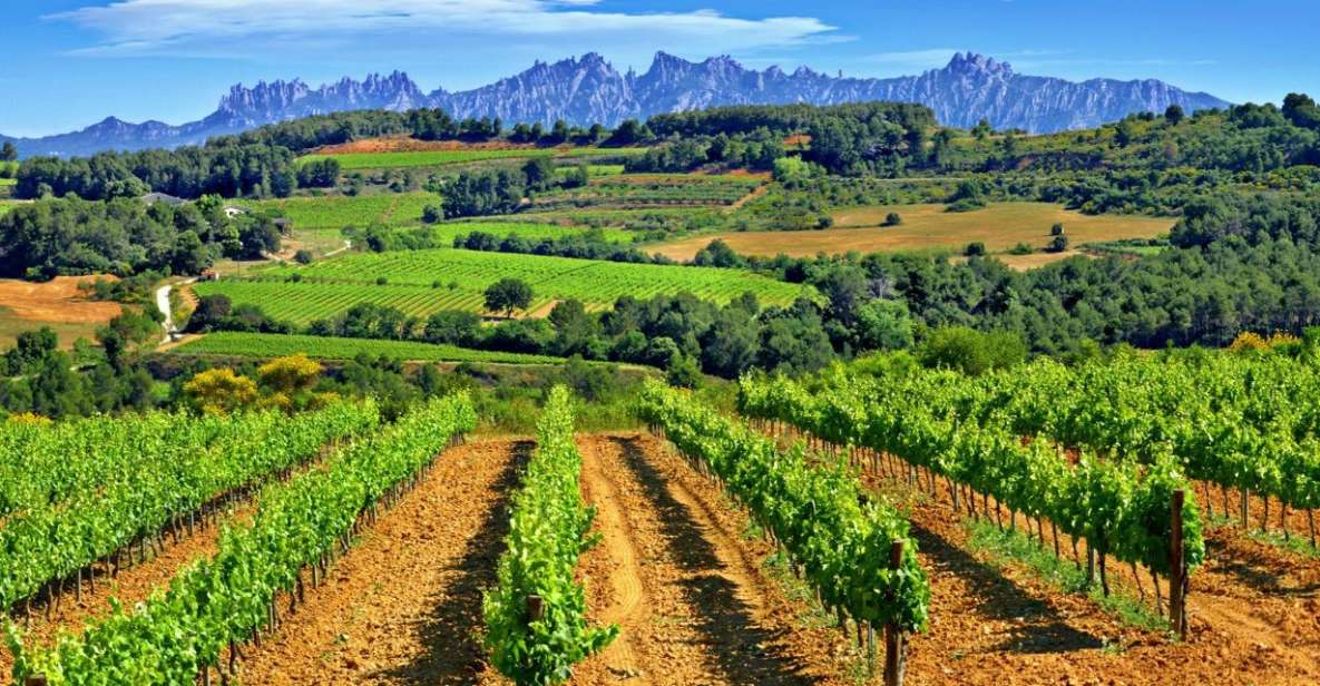 Barcelona: Montserrtat Hike and Winery Tour With Tasting - Experience Details