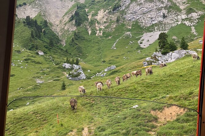 Basel Private Tour - Mt. Pilatus and Cruise on Lake of Lucerne - Booking Information