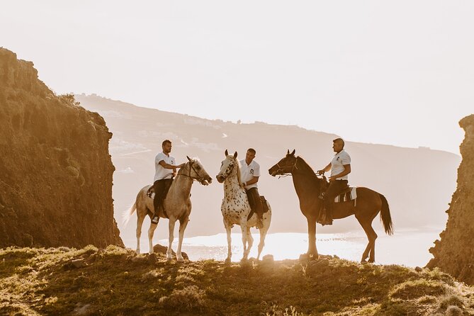 Beach Gallop - Horse Riding Safari for Experienced Riders - Meeting Point and Arrival Time