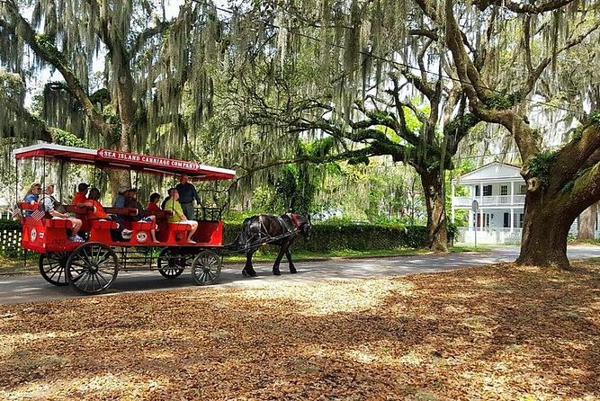 Beaufort's #1 Horse & Carriage History Tour - Guest Reviews