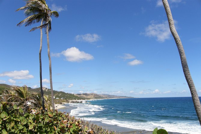 Beautiful Coastal Sightseeing Tour of Barbados - Sights at Bathsheba Beach and Foul Bay