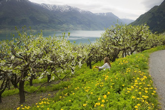 Bergen: Private Full-Day Roundtrip to Hardangerfjord With Cruise - Traveler Experience and Feedback