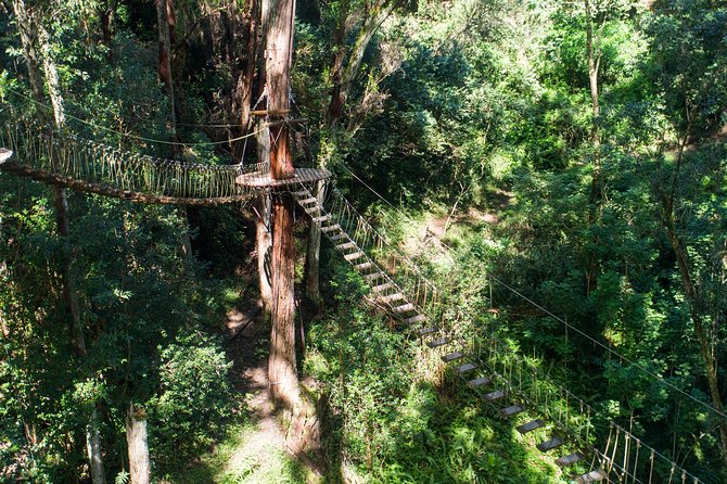 Big Island Kohala Canopy Zipline Adventure - Whats Included