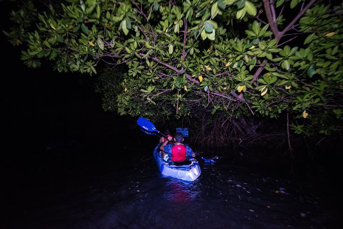 Bioluminescent Bay Kayak Adventure From San Juan - Kayaking Gear and Equipment