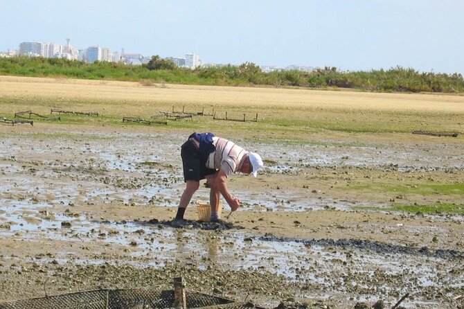 Birdwatching in Ria Formosa - Eco Boat Tour From Faro - Whats Included in the Tour