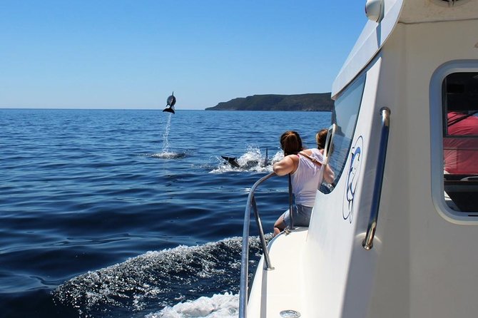 Boat Trip for Dolphin Watching Along the Arrabida Coast and Sesimbra - Accessibility and Participation