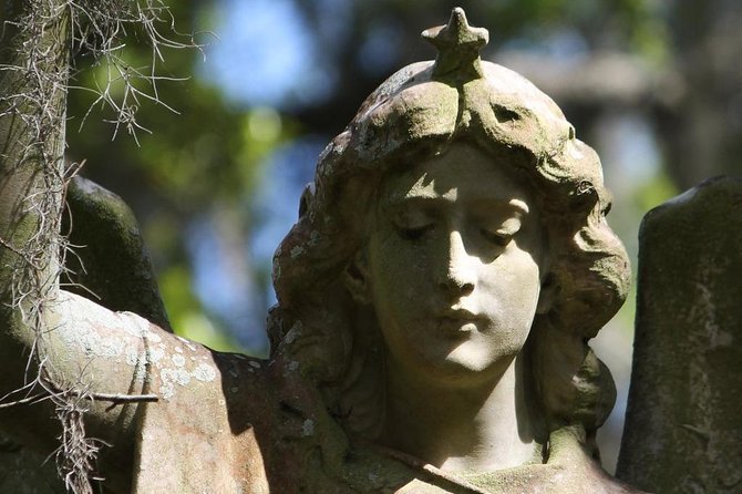 Bonaventure Cemetery Walking Tour With Transportation - Tour Guide Insights