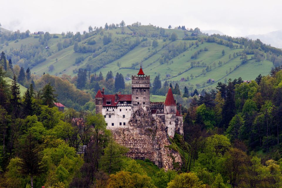 Bran: Guided Castle Tour - Tour Highlights