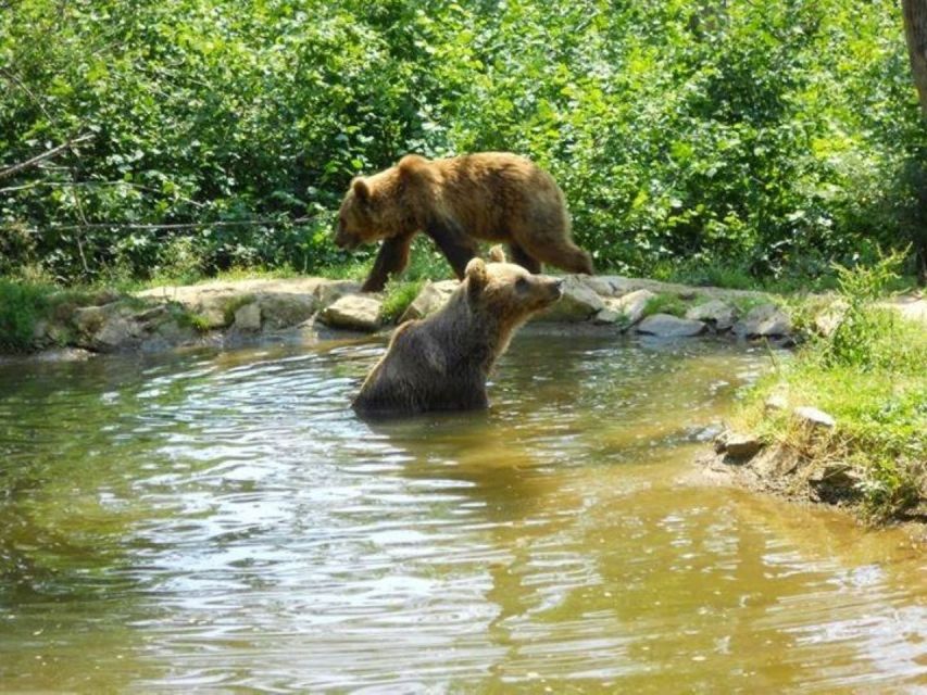 Brasov: Craiuli Mountains Hike & Bear Sanctuary Private Trip - Inclusions