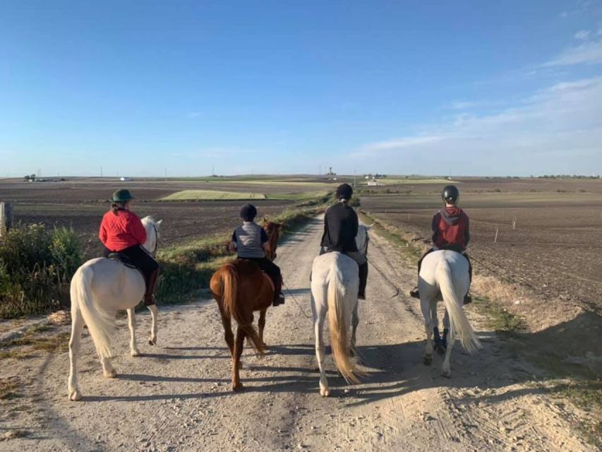 Cádiz Country Side: Ride an Andalusian Horse - Suitability and Highlights