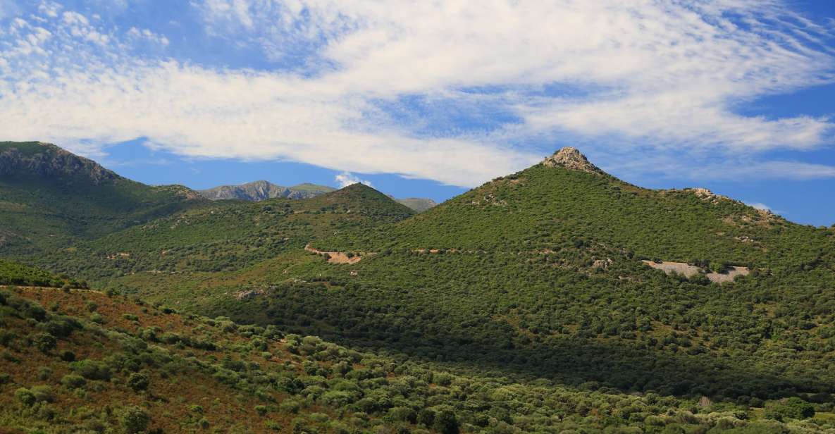 Calvi: Asco Valley 4x4 Day Tour With Guide - Swimming in Crystal-Clear Waters