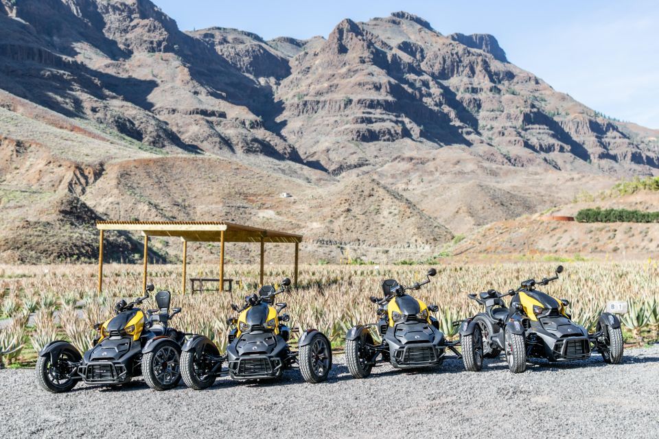 Can-Am Ryker Moto Tour: Discover the Mountain (Maspalomas) - Tour Experience and Requirements