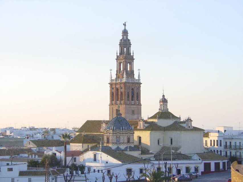 Carmona and Necropolis Tour From Seville - Highlights of the Tour