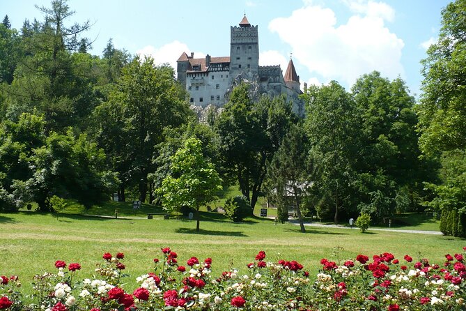 Castles Day Tour Peles - Bran - Rasnov From Brasov - Service Details