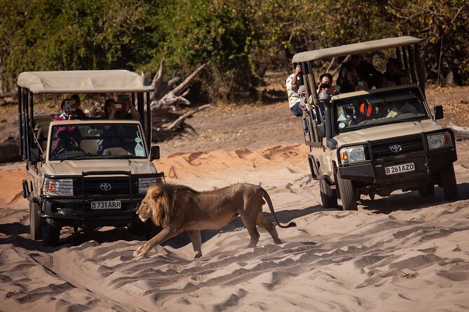 Chobe Day Trip Ex Livingstone / Victoria Falls - Included Amenities and Services