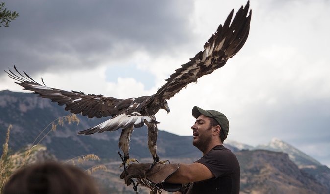 CIVITA EXPERIENCE Borgo Gole Mountain and ... BIRDS OF PREY of the Pollino - Tour Inclusions