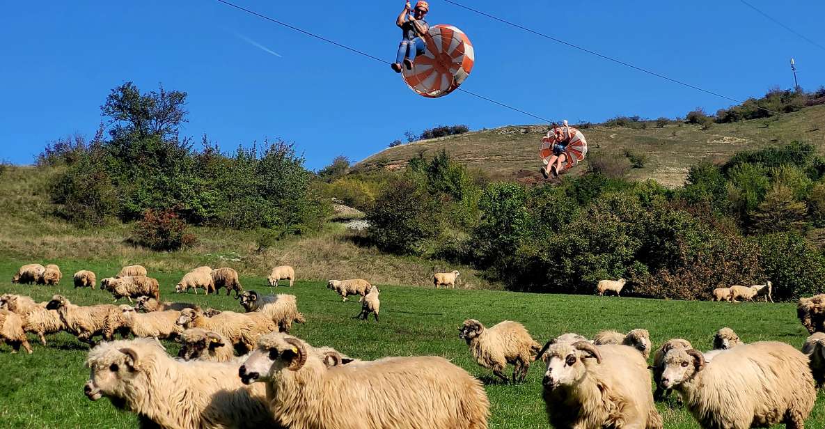 Cluj: Outdoor Activities Day Trip With Zip Line and Hike - Zip Line Adventure