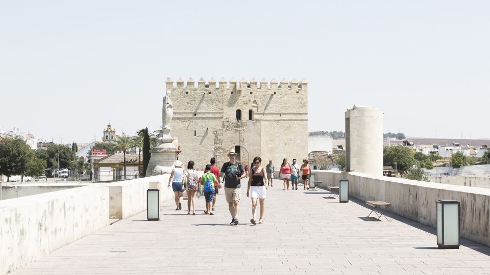 Costa Del Sol: Full-Day Cordoba Tour - Tour Inclusions