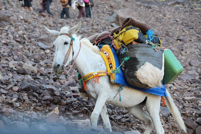 Day Excursion in the Atlas Mountains - Guided Hike Through Valleys and Villages