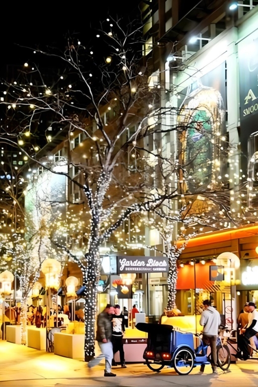 Denver Holiday Lights & Sights Bus Tour - Tour Details