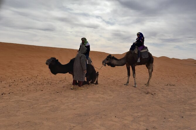 Desert Camp & Erg Chebbi - Accessibility and Participation