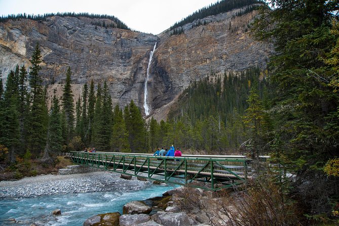 Discover Grizzly Bears From Banff - Gondola Ride and Panoramic Views