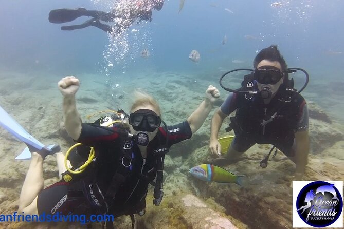 Discover Scuba Diving, Free Pictures Included - Pricing Information