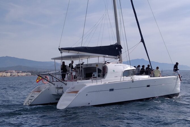 Dolphin Trips on a Catamaran - Experiences and Highlights