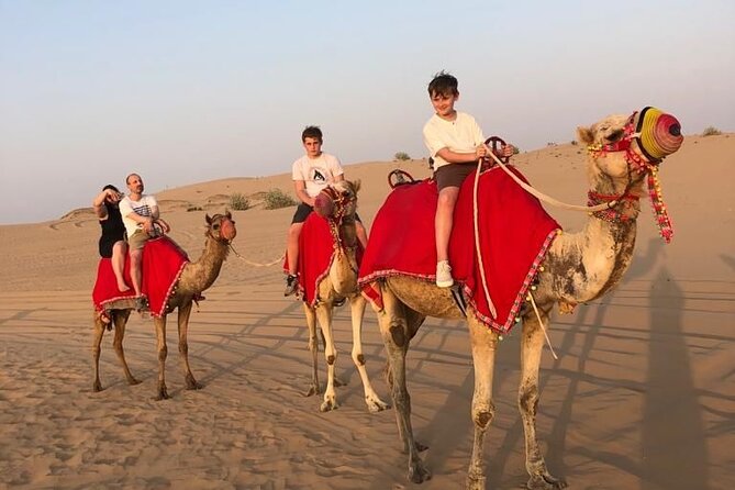 Dubai Evening Desert Safari - Accessibility and Limitations