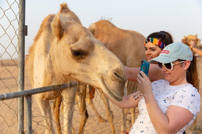 Dubai Premium Desert Safari With BBQ Dinner in Red Dunes - Exhilarating Sandboarding Activity